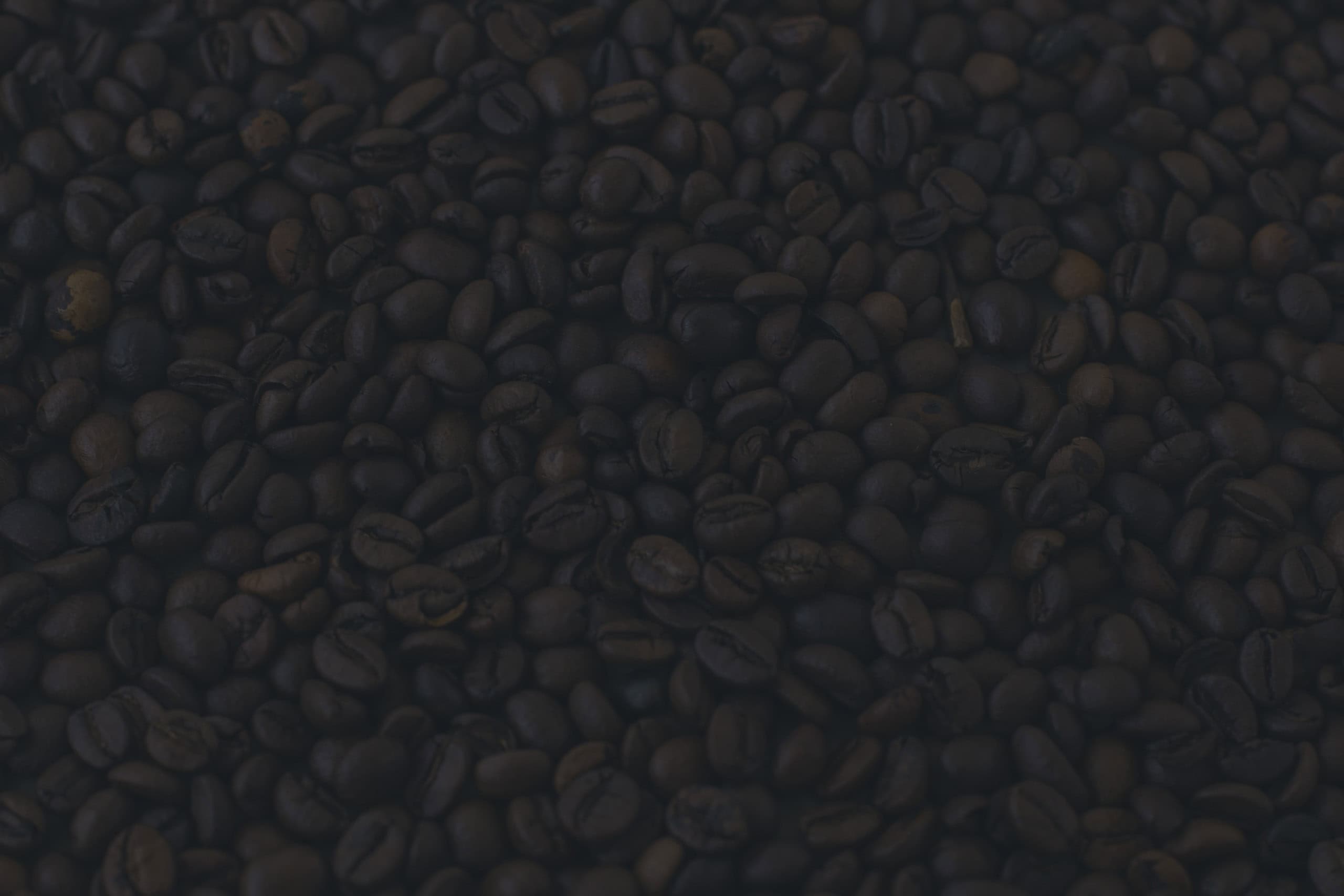 Lugano Caffé sayfa başlığı