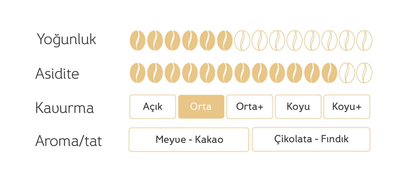 Lugano Elite Arabica Espresso kahve özellikleri, yoğunlugu, aroması, ve tadı